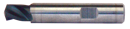  Spezialbohrer BWZ 100